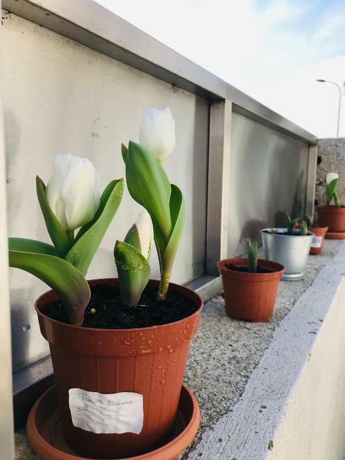 Boavista Villa Guesthouse Порто Екстериор снимка